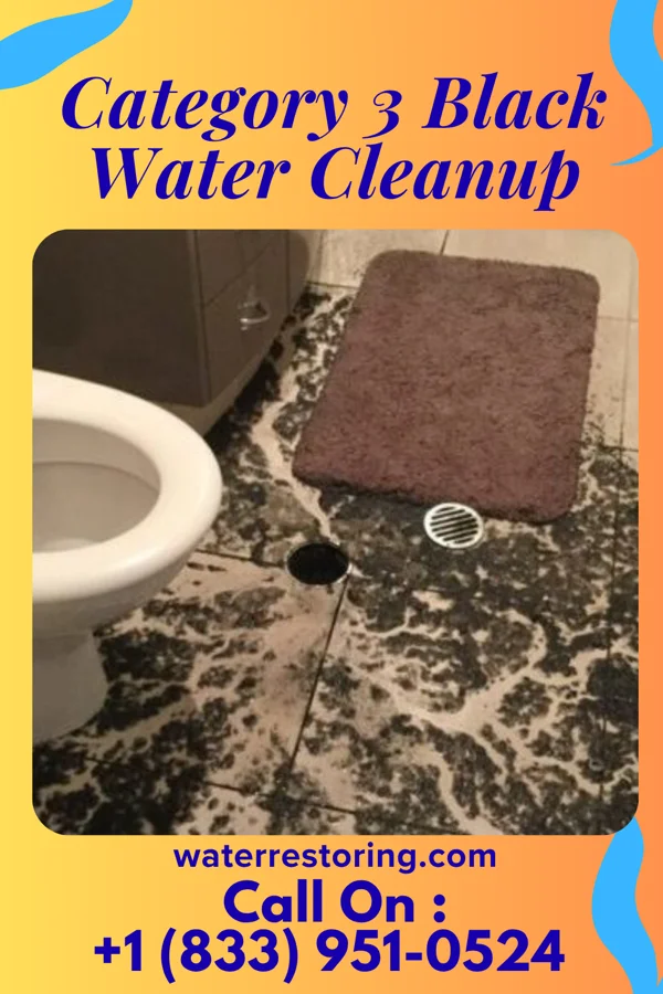 Category 3 Black Water Cleanup in North Philipsburg, PA