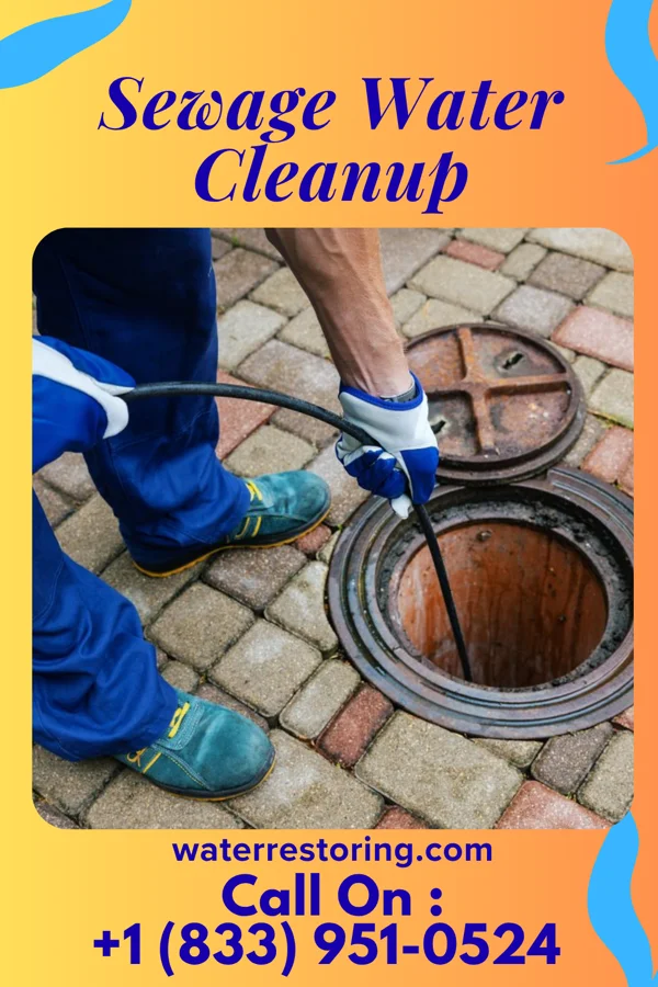 Sewage Water Cleanup in North Philipsburg, PA