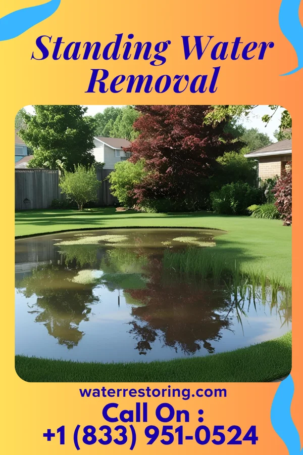 Standing Water Removal in North Philipsburg, PA